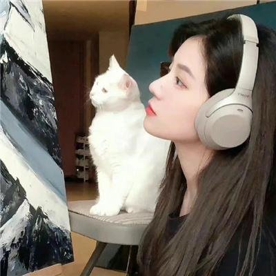 学校万花筒